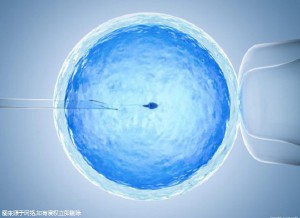 实验室设备
